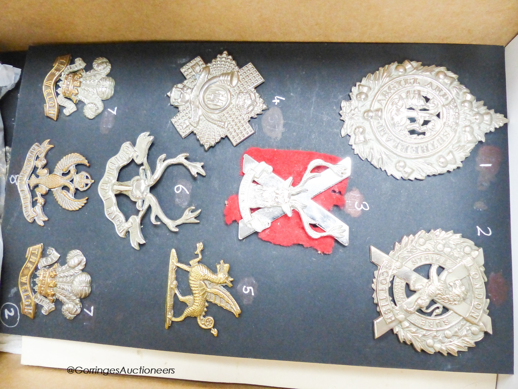 A collection of Military cap badges